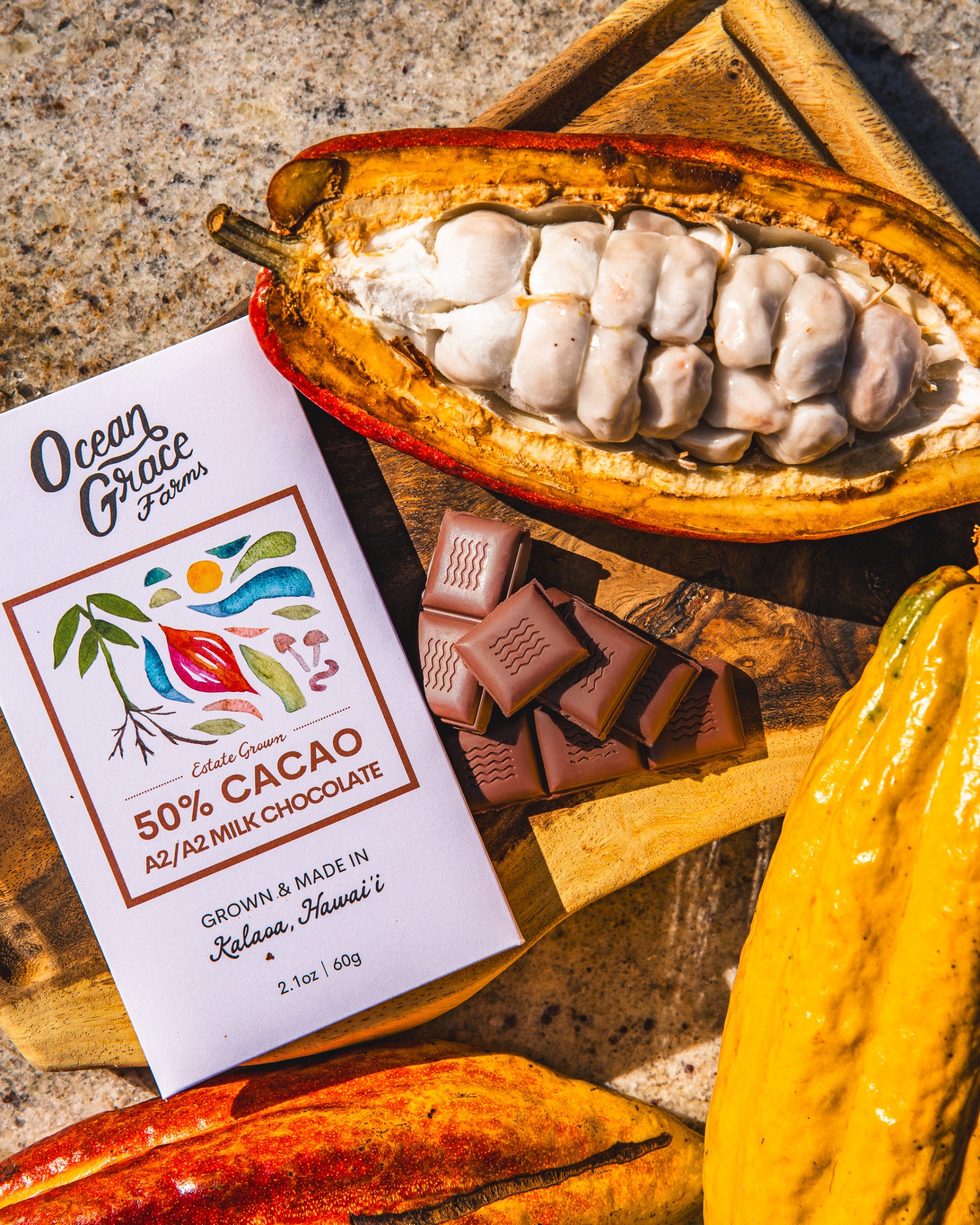 50% A2/A2 Milk Chocolate Bar (2.1 oz - 60 g) | Ocean Grace Farms